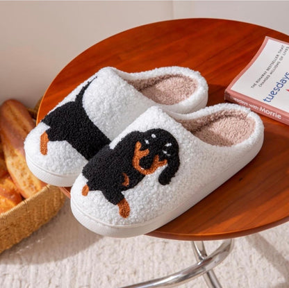 Cat Slippers 1st Gen